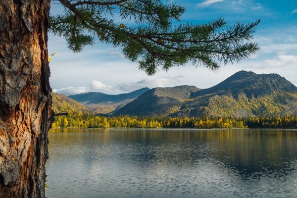 В Республике Коми начался 