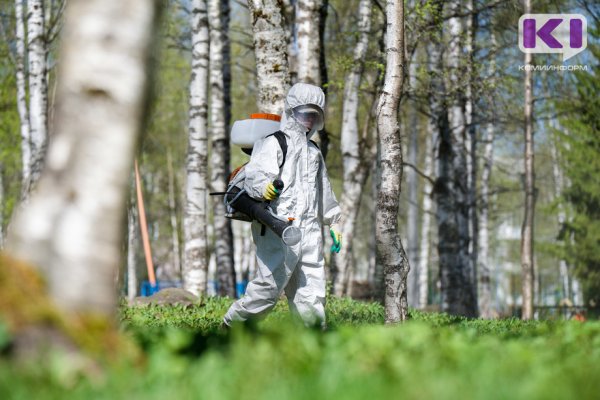 В Коми на прошлой неделе почти 600 человек пострадали от укусов клещей