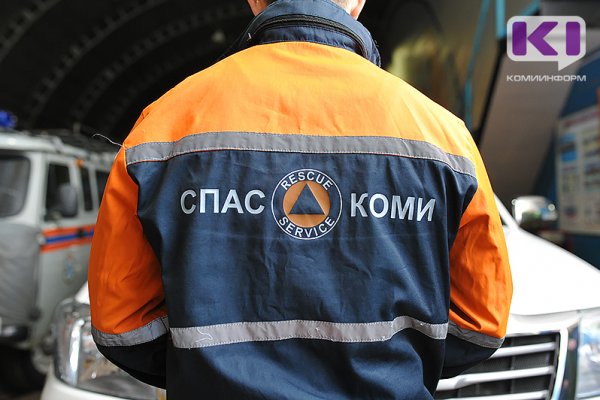 Спасатели помогли жителям Коми попасть в дом и спилить опасное дерево 