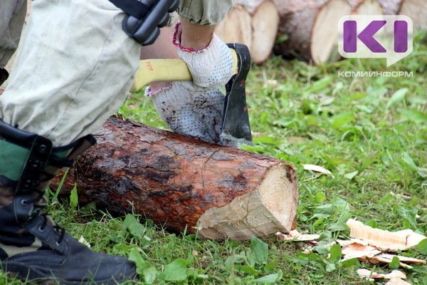 Лесные династии в России будут сохранены