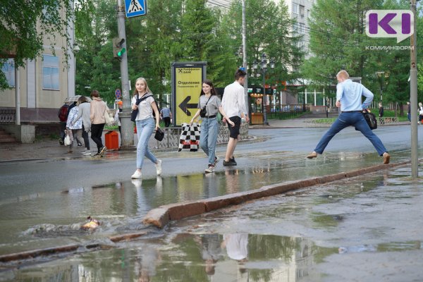 Прогноз погоды в Коми 29 мая: весеннее тепло и небольшой дождь
