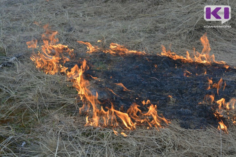 Пятый класс пожароопасности сохранится в ближайшие дни в двух районах Коми