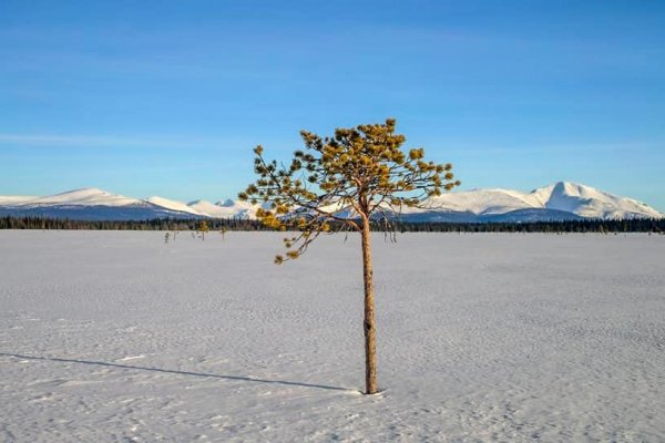 В нацпарке 