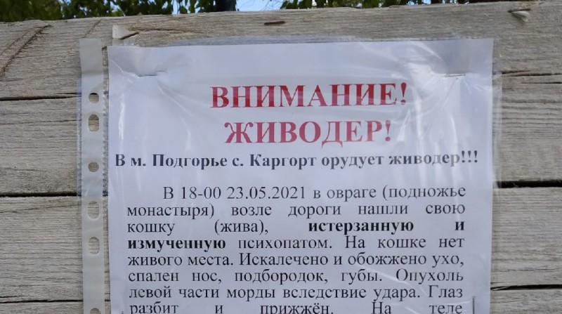 В сыктывдинском Каргорте разыскивают живодера