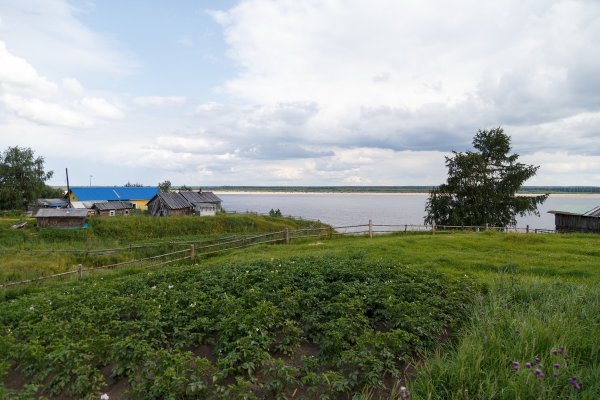 В Коми выбрали первые 50 территорий Арктической зоны для предоставления земельных участков гражданам

