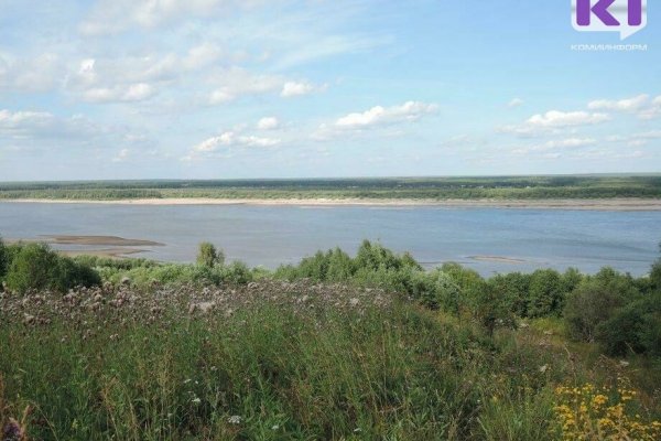 Следователи проводят проверку по факту обнаружения тела сыктывкарца на берегу Вычегды 