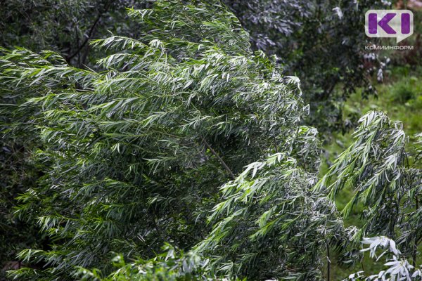 В Коми ожидаются грозы с ливнем, градом и шквалистым ветром