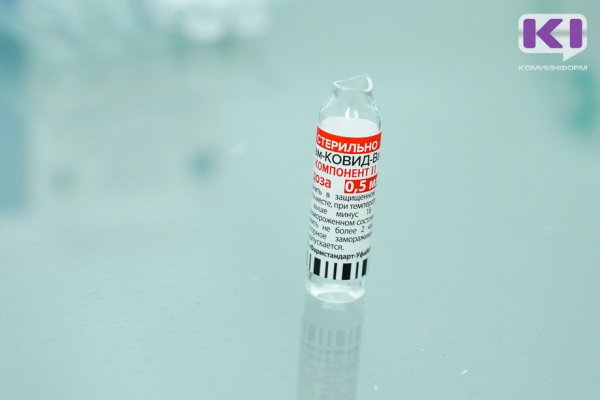 В Троицко-Печорском районе спасатели сплавились 80 км по реке, чтобы доставить вакцину жителям 

