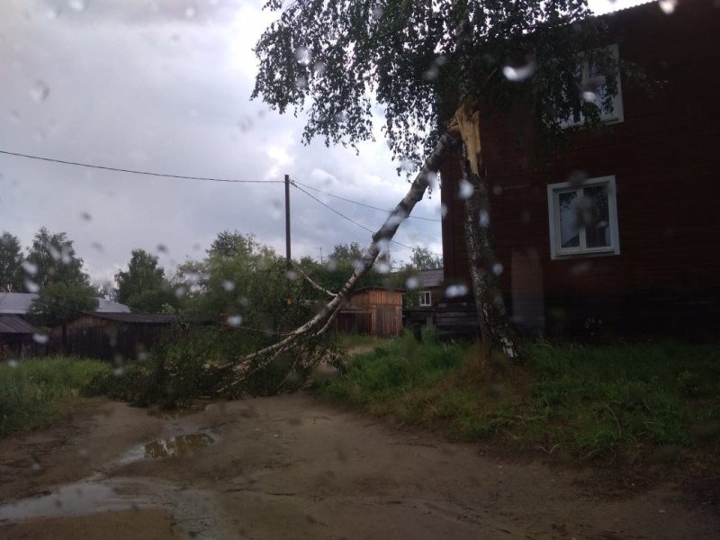 Ураган в Прилузье: повалены деревья, снесены крыши, пропал свет