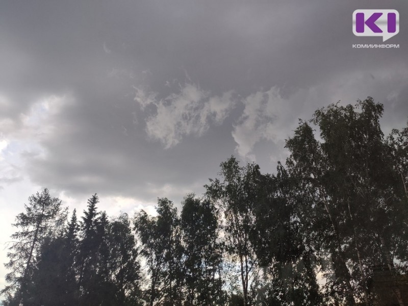 В центральных и южных районах Коми ожидаются грозы, ливни и град