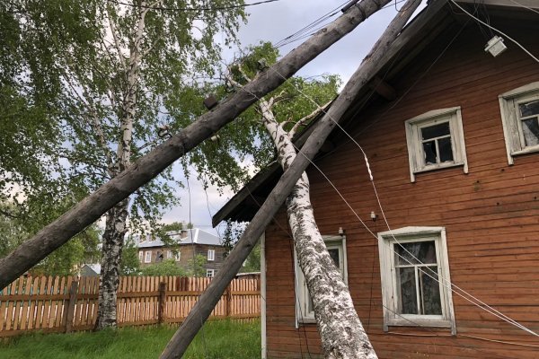 Благодаря сигналам жителей работа по устранению последствий штормового ветра в городах и районах Коми стала эффективнее