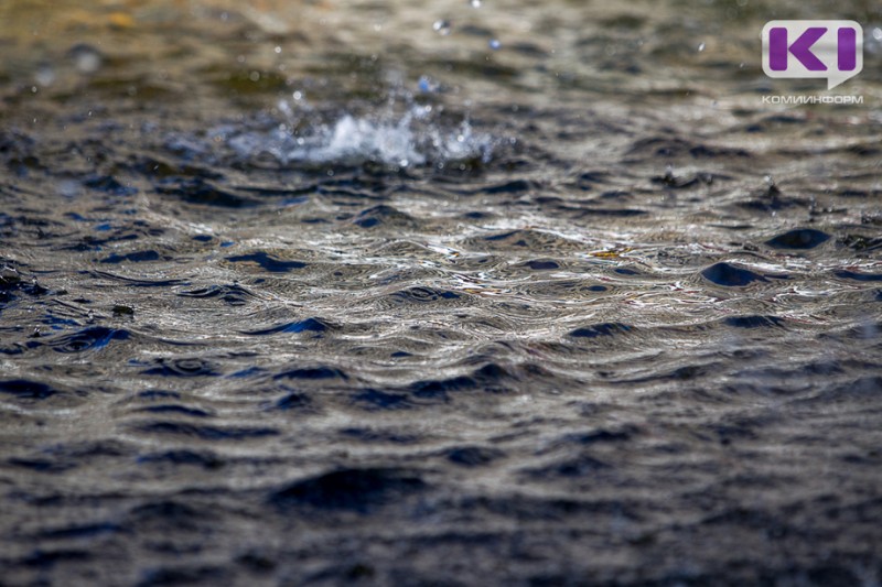 На реке Луза найдено тело пропавшего мужчины
