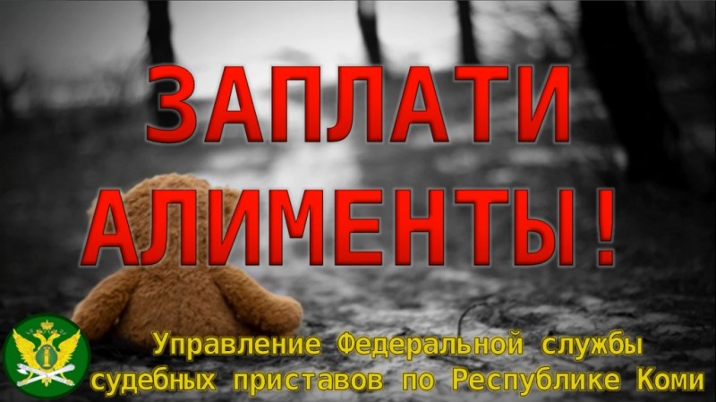 В Усть-Куломском районе Коми арестован должник по алиментам