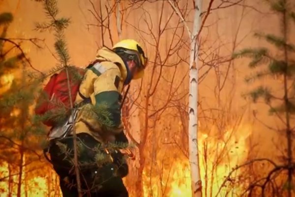 В Троицко-Печорском районе локализован лесной пожар