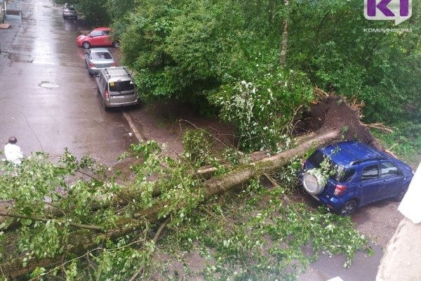 В центре Сыктывкара во время ливня с ветром упал тополь и затопило центральные улицы