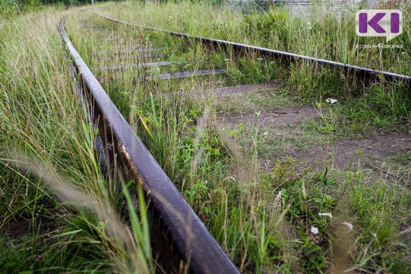 В Сосногорском районе после ссоры с приятелем заблудился мужчина