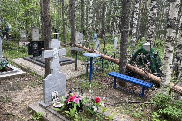 В Сосногорске после обращения на 