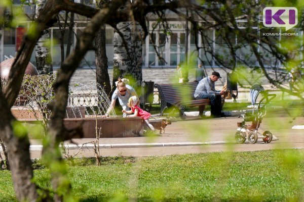 Прогноз погоды в Коми на 25 июля: небольшой дождь, +14...+18°С