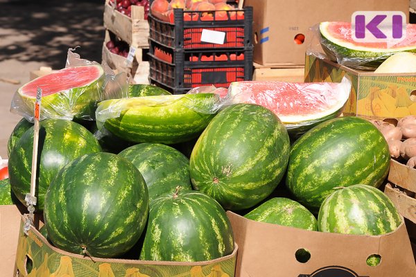 В Сыктывкаре усилят меры борьбы с нелегальными торговцами арбузами и овощами, а также дачниками 