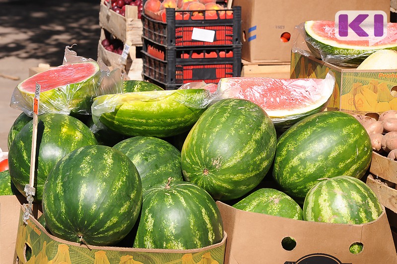 В Сыктывкаре усилят меры борьбы с нелегальными торговцами арбузами и овощами, а также дачниками 