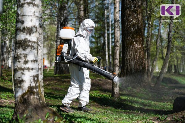 В Коми за неделю от укусов клещей пострадали 23 жителя