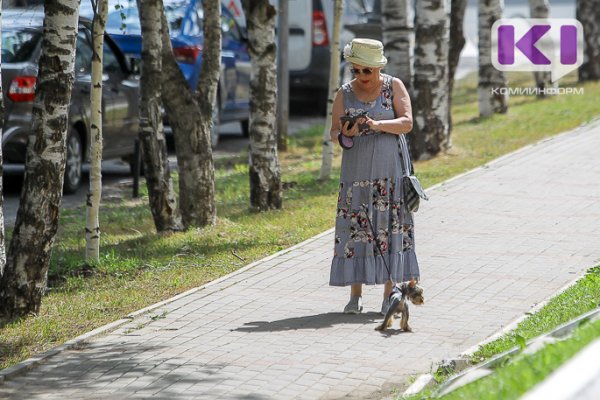 Интернет-мошенники придумали способ обмана сыктывкарских любителей животных