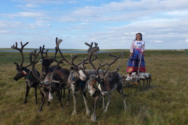 Профессиональный праздник оленеводы Коми отметили соревнованиями