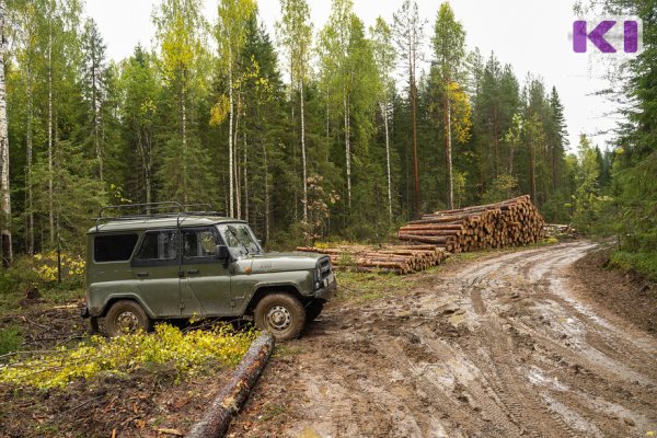 Воркутинец угнал автомобиль работодателя и попал в ДТП