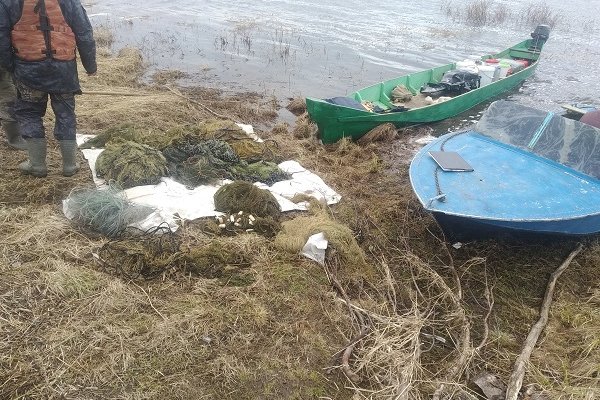 В Удорском районе выявили браконьеров