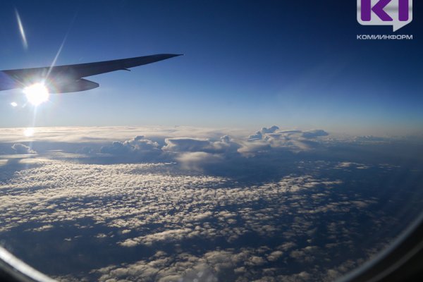 Россия возобновляет авиасообщение с Египтом: сколько стоят билеты и какие требования к туристам