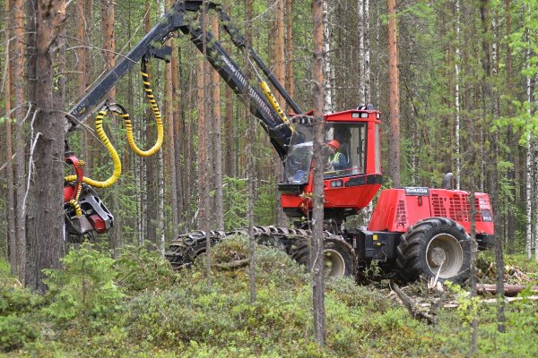 Команда СЛДК впервые примет участие в 