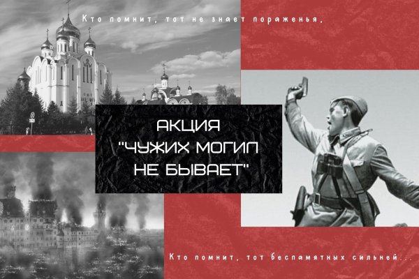 В Сыктывкаре организована акция 