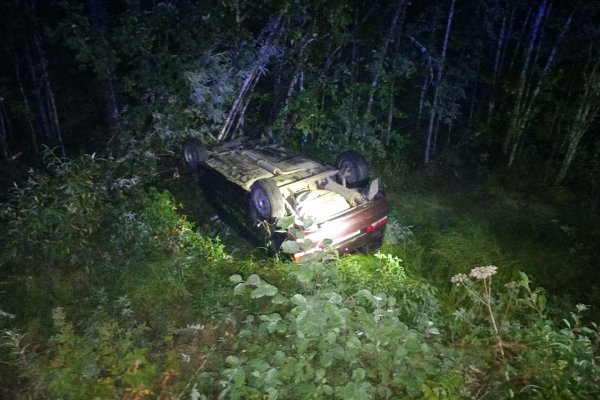 В Койгородском районе в результате ДТП погибла лошадь