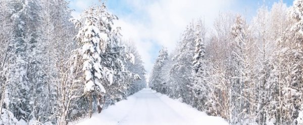 Первые поздравления республике поступили на конкурс 