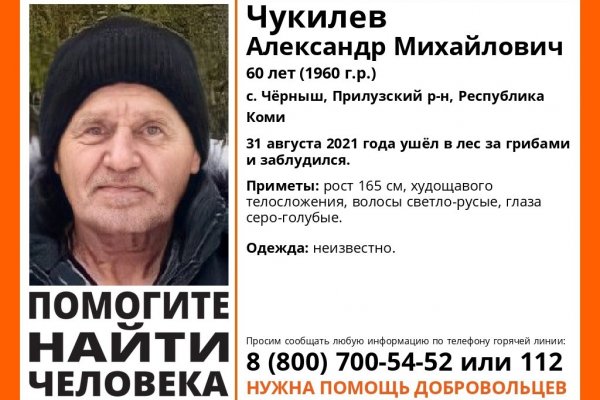 В Прилузье ищут 60-летнего грибника