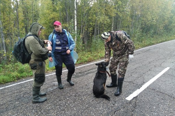 В Коми продолжаются поиски пенсионеров в Прилузье и Троицко-Печорске 