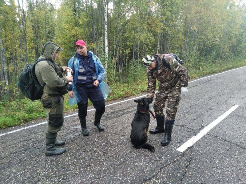 В Коми продолжаются поиски пенсионеров в Прилузье и Троицко-Печорске 