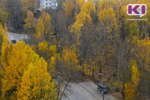 Прогноз погоды в Коми на 17 сентября: небольшой дождь и северный ветер