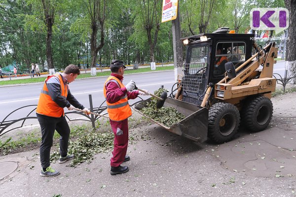 Сыктывкарские коммунальщики рассказали, чем опасна опавшая листва