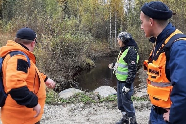 В Ухте нашли сапоги и велосипед пропавшего грибника