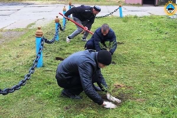 Осужденные исправительных учреждений УФСИН Коми приняли участие в акции 