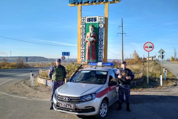 Как росгвардейцы задержали водителя, сбившего ребенка в Визинге