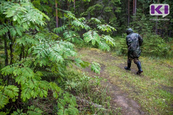 В Прилузье пропавшего нашли пьяным в избе, а в Сосногорске пенсионер всю ночь бродил в лесу 