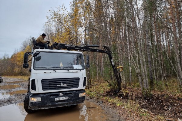Регоператор Севера ликвидировал несанкционированную свалку в лесном массиве под Ухтой