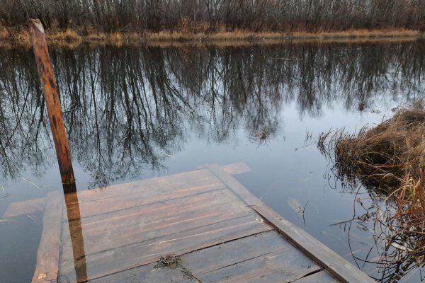 В Удорском районе выясняются обстоятельства гибели 4-летнего ребенка