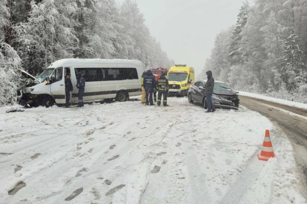 В Сыктывкаре по факту ДТП с участием микроавтобуса организована доследственная проверка