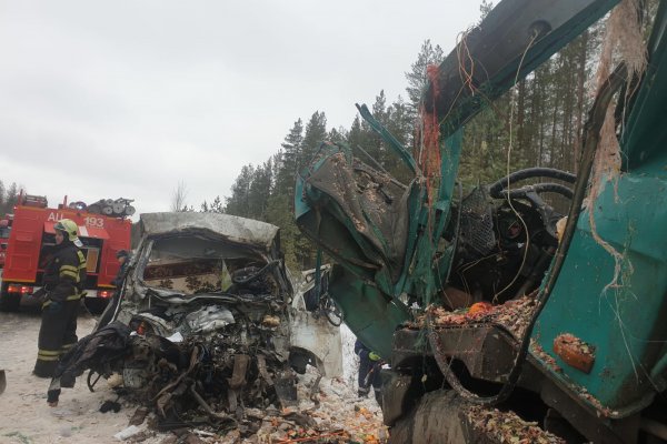 Погибший под Ухтой водитель ГАЗели пошел на обгон в зоне действия знака 