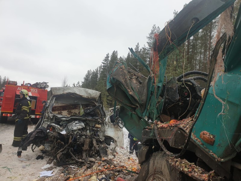 Погибший под Ухтой водитель ГАЗели пошел на обгон в зоне действия знака "Обгон запрещен" - ГИБДД