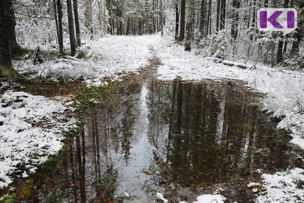 За помощью к поисковикам 