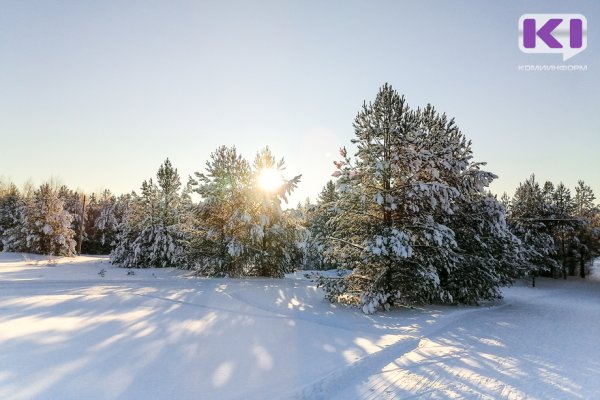 Прогноз погоды в Коми на 19 ноября: на севере до -22°С, в южных районах -3...-7°С